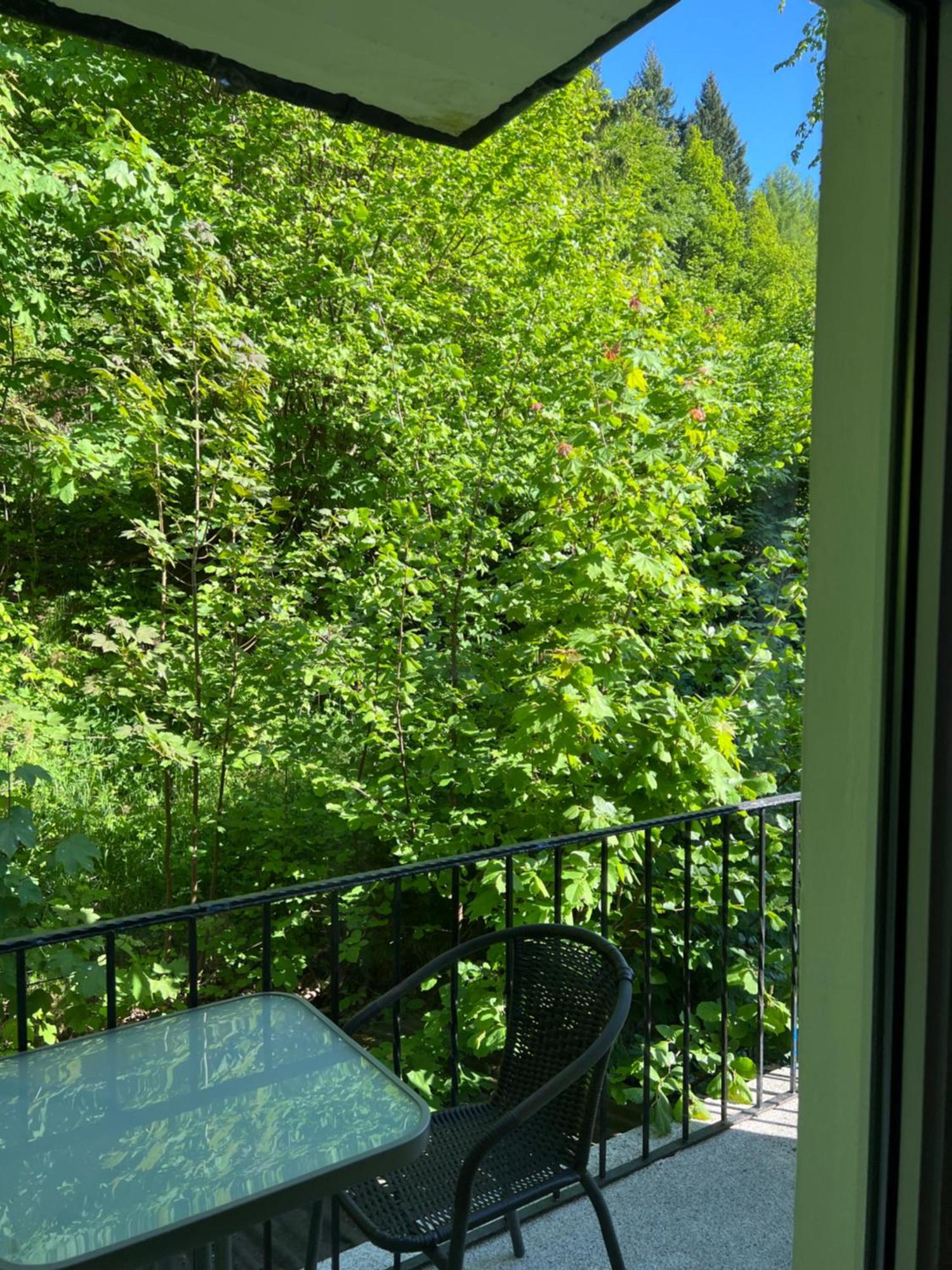 Pension Villa Pangea Bad Lauterberg Buitenkant foto