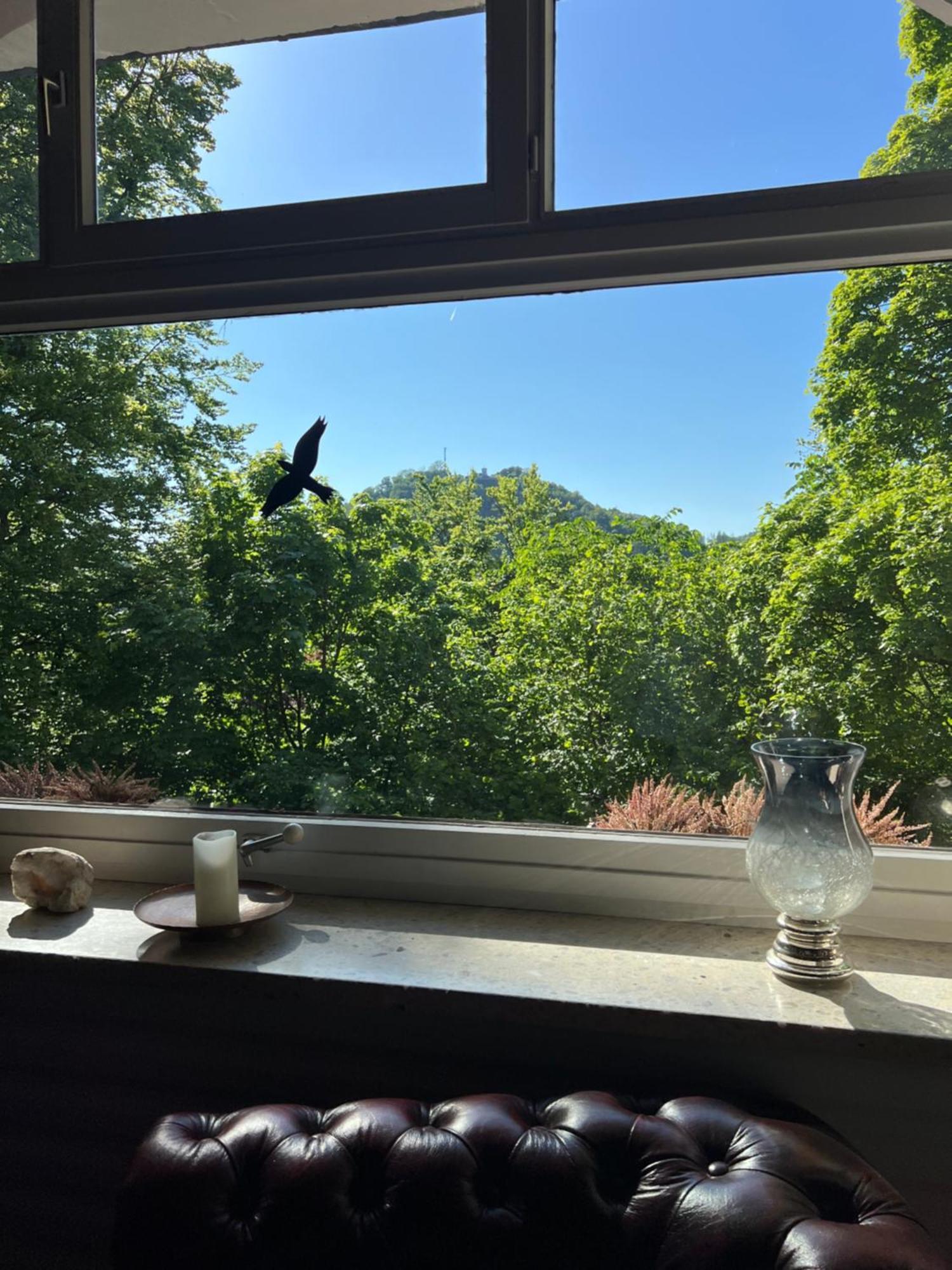 Pension Villa Pangea Bad Lauterberg Buitenkant foto