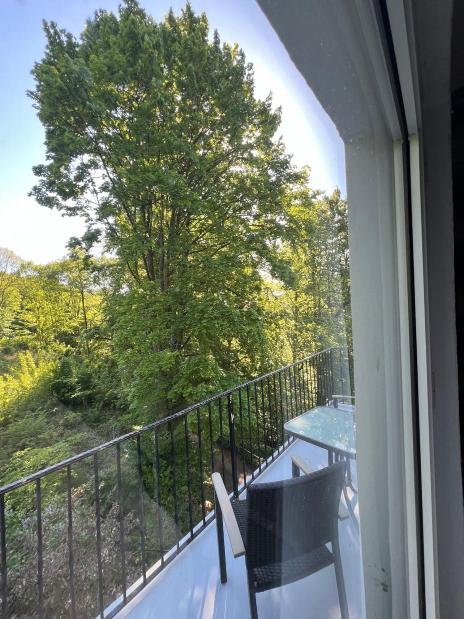 Pension Villa Pangea Bad Lauterberg Buitenkant foto