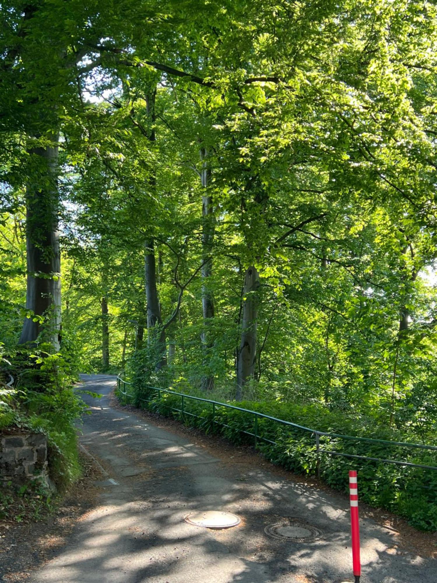 Pension Villa Pangea Bad Lauterberg Buitenkant foto