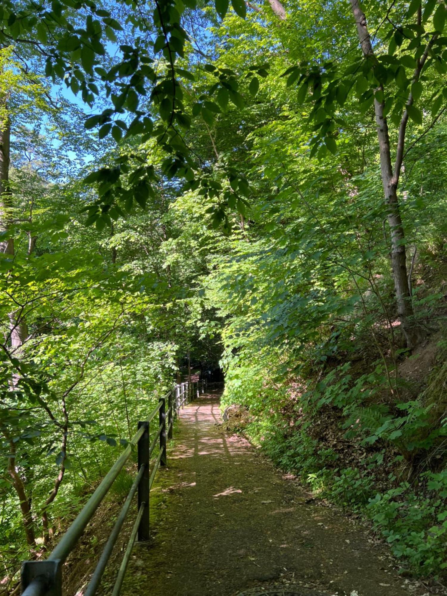 Pension Villa Pangea Bad Lauterberg Buitenkant foto