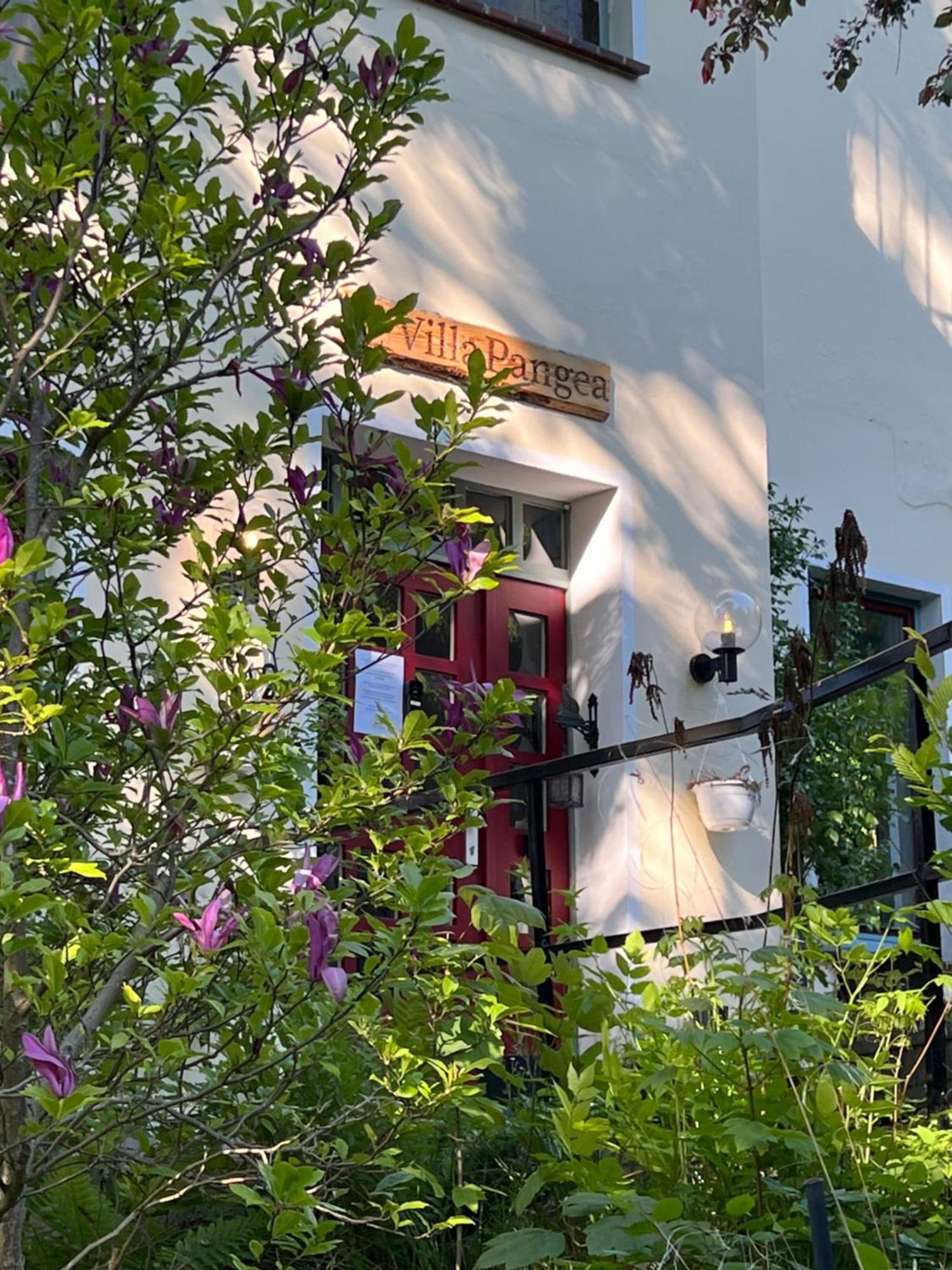Pension Villa Pangea Bad Lauterberg Buitenkant foto